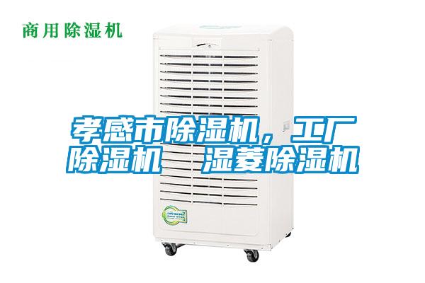 孝感市香蕉视频国产APP下载机，工厂香蕉视频国产APP下载机  湿菱香蕉视频国产APP下载机