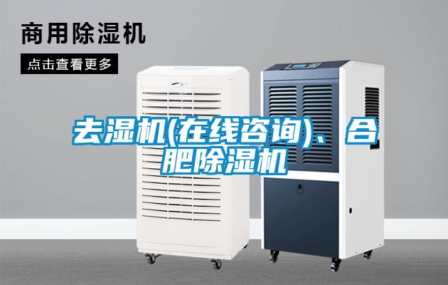 去湿机(在线咨询)、合肥香蕉视频国产APP下载机