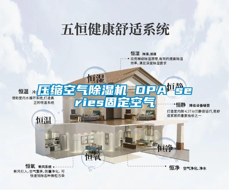 压缩空气香蕉视频国产APP下载机 DPA series固定空气