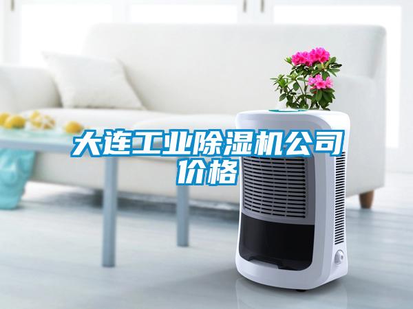 大连工业香蕉视频国产APP下载机公司价格