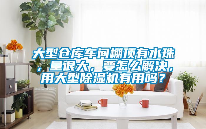 大型仓库车间棚顶有水珠，量很大，要怎么解决，用大型香蕉视频国产APP下载机有用吗？