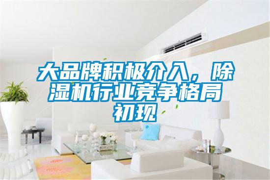 大品牌积极介入，香蕉视频国产APP下载机行业竞争格局初现