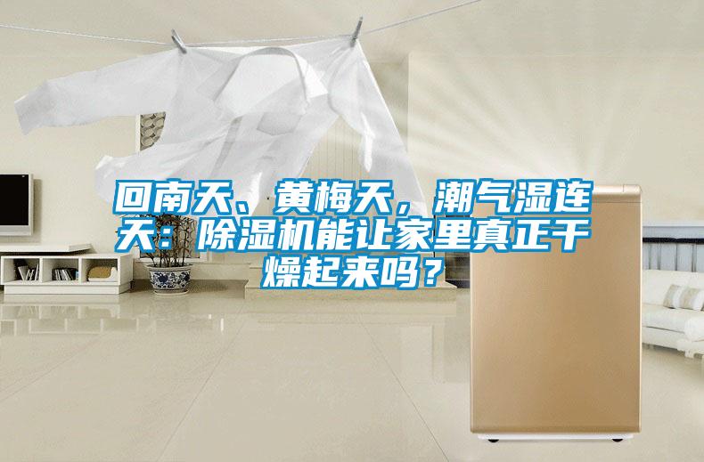 回南天、黄梅天，潮气湿连天：香蕉视频国产APP下载机能让家里真正干燥起来吗？