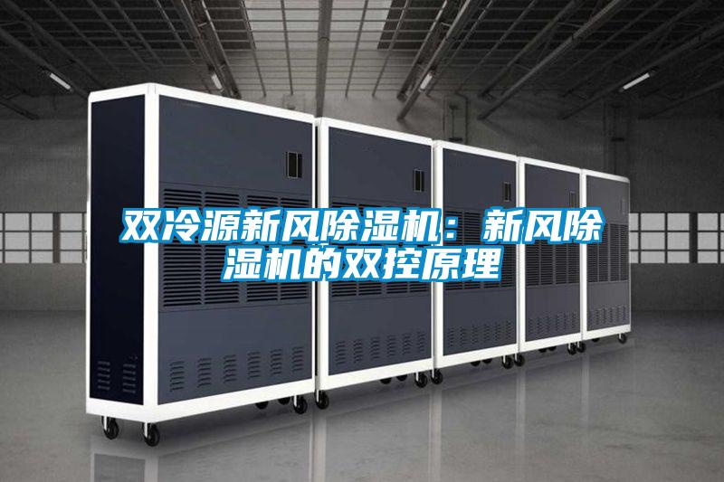 双冷源新风香蕉视频国产APP下载机：新风香蕉视频国产APP下载机的双控原理