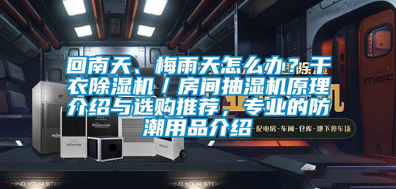 回南天、梅雨天怎么办？干衣香蕉视频国产APP下载机／房间抽湿机原理介绍与选购推荐，专业的防潮用品介绍
