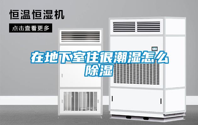 在地下室住很潮湿怎么香蕉视频国产APP下载