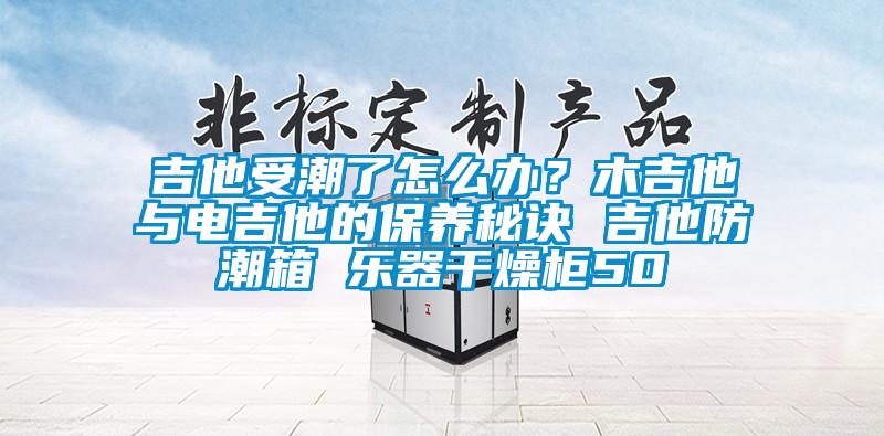 吉他受潮了怎么办？木吉他与电吉他的保养秘诀 吉他防潮箱 乐器干燥柜50