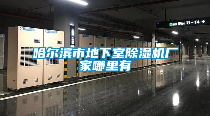哈尔滨市地下室香蕉视频国产APP下载机厂家哪里有