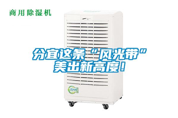 分宜这条“风光带”美出新高度！