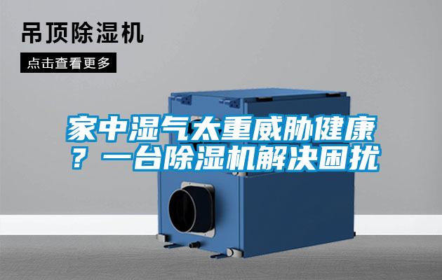家中湿气太重威胁健康？一台香蕉视频国产APP下载机解决困扰