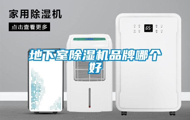 地下室香蕉视频国产APP下载机品牌哪个好