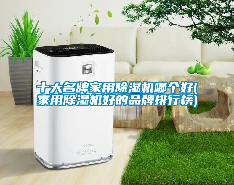 十大名牌家用香蕉视频国产APP下载机哪个好(家用香蕉视频国产APP下载机好的品牌排行榜)