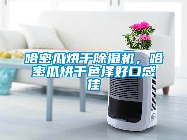 哈密瓜烘干香蕉视频国产APP下载机，哈密瓜烘干色泽好口感佳