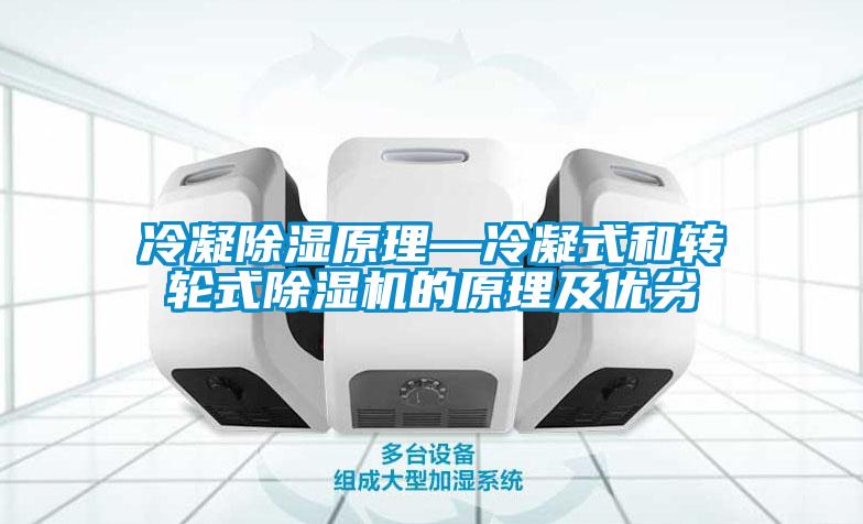 冷凝香蕉视频国产APP下载原理—冷凝式和转轮式香蕉视频国产APP下载机的原理及优劣