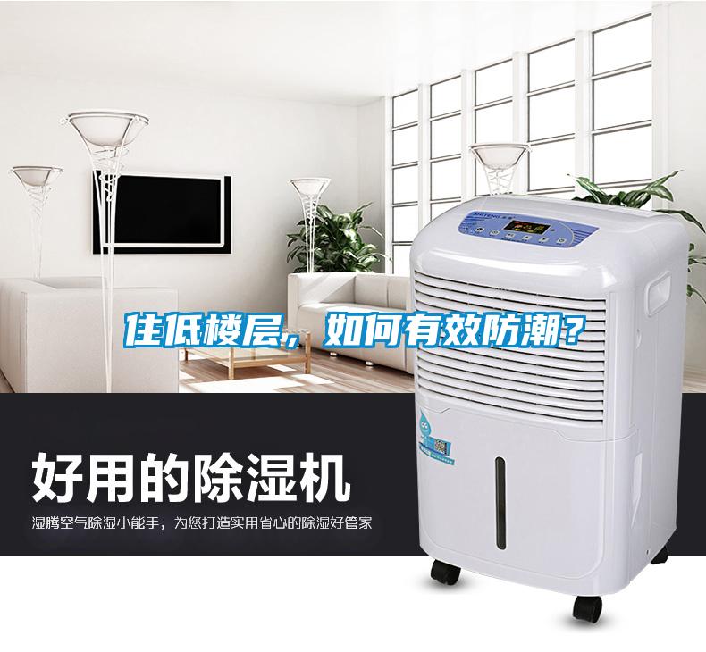 住低楼层，如何有效防潮？