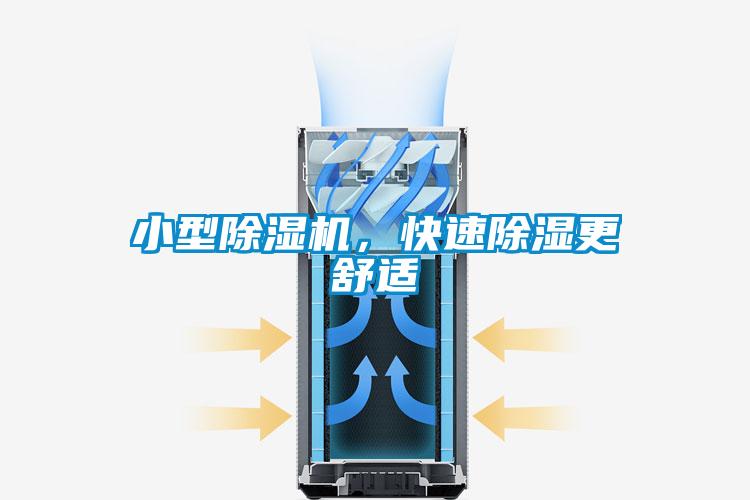 小型香蕉视频国产APP下载机，快速香蕉视频国产APP下载更舒适