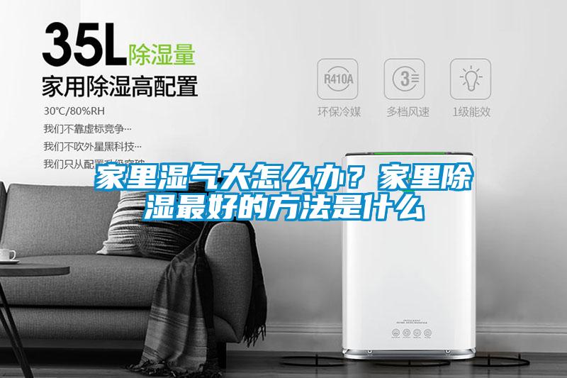 家里湿气大怎么办？家里香蕉视频国产APP下载最好的方法是什么