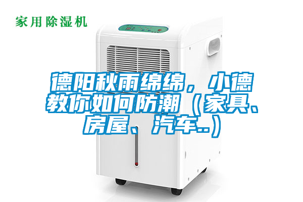 德阳秋雨绵绵，小德教你如何防潮（家具、房屋、汽车..）