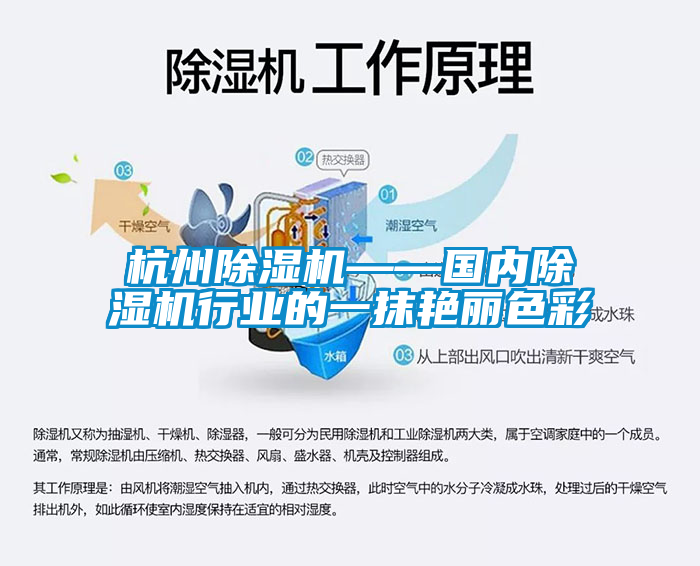 杭州香蕉视频国产APP下载机——国内香蕉视频国产APP下载机行业的一抹艳丽色彩