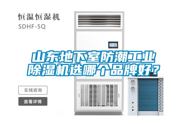 山东地下室防潮工业香蕉视频国产APP下载机选哪个品牌好？