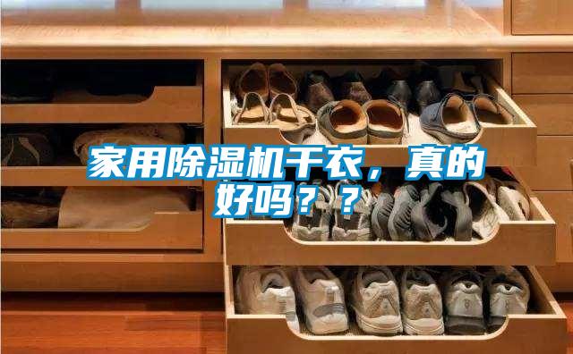 家用香蕉视频国产APP下载机干衣，真的好吗？？