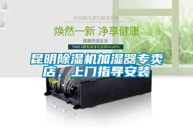 昆明香蕉视频国产APP下载机加湿器专卖店，上门指导安装