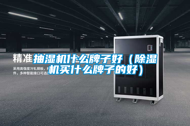 抽湿机什么牌子好（香蕉视频国产APP下载机买什么牌子的好）