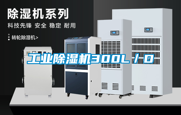 工业香蕉视频国产APP下载机300L／D