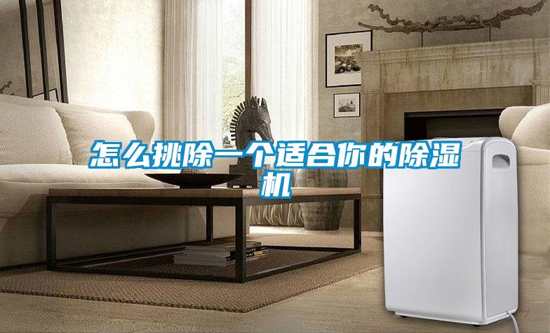 怎么挑除一个适合你的香蕉视频国产APP下载机