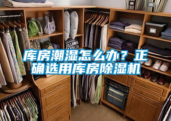 库房潮湿怎么办？正确选用库房香蕉视频国产APP下载机