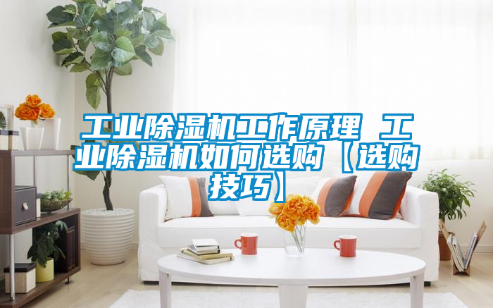工业香蕉视频国产APP下载机工作原理 工业香蕉视频国产APP下载机如何选购【选购技巧】