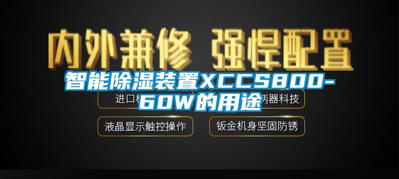智能香蕉视频国产APP下载装置XCCS800-60W的用途