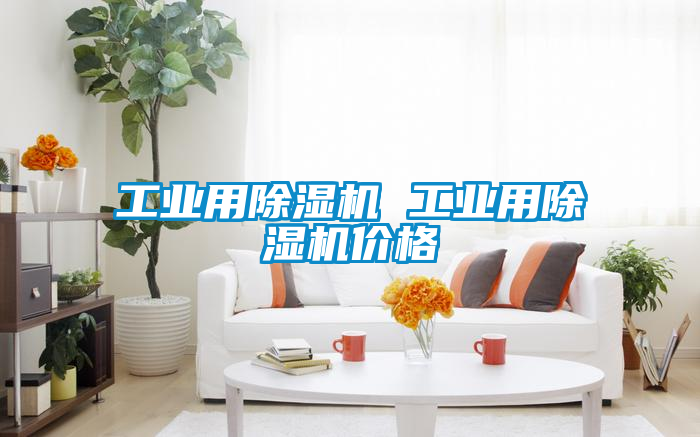 工业用香蕉视频国产APP下载机 工业用香蕉视频国产APP下载机价格