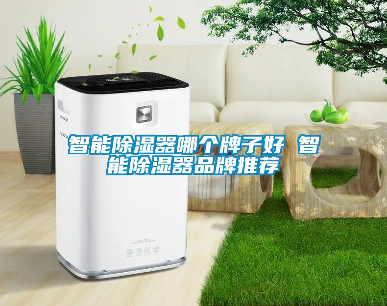 智能香蕉视频国产APP下载器哪个牌子好 智能香蕉视频国产APP下载器品牌推荐