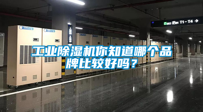 工业香蕉视频国产APP下载机你知道哪个品牌比较好吗？