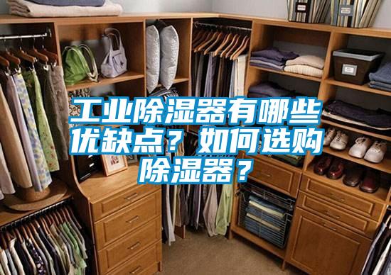 工业香蕉视频国产APP下载器有哪些优缺点？如何选购香蕉视频国产APP下载器？