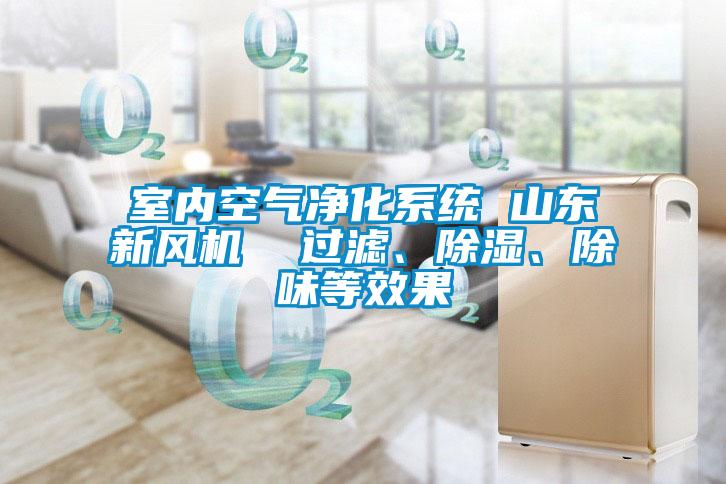 室内空气净化系统 山东新风机  过滤、香蕉视频国产APP下载、除味等效果