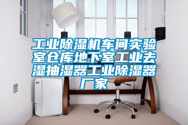 工业香蕉视频国产APP下载机车间实验室仓库地下室工业去湿抽湿器工业香蕉视频国产APP下载器厂家