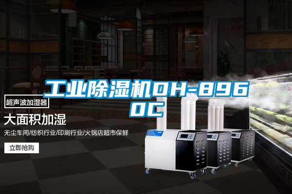 工业香蕉视频国产APP下载机DH-8960C
