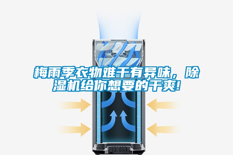 梅雨季衣物难干有异味，香蕉视频国产APP下载机给你想要的干爽!