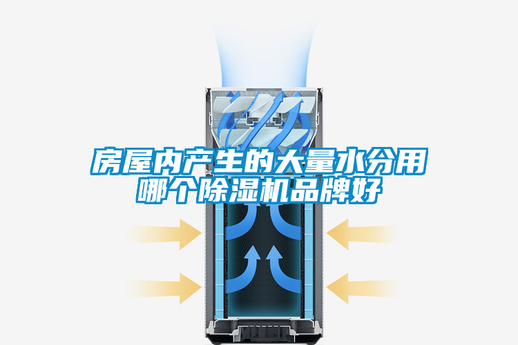 房屋内产生的大量水分用哪个香蕉视频国产APP下载机品牌好