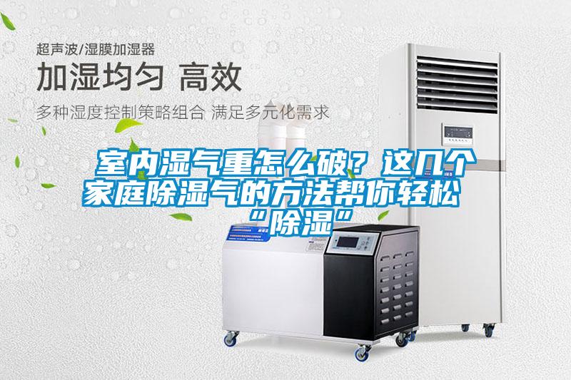 室内湿气重怎么破？这几个家庭香蕉视频国产APP下载气的方法帮你轻松“香蕉视频国产APP下载”