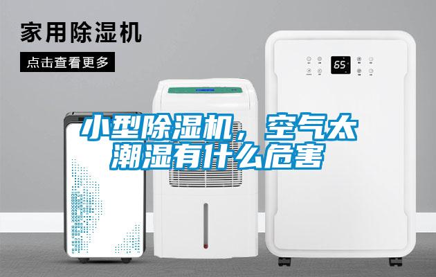 小型香蕉视频国产APP下载机，空气太潮湿有什么危害