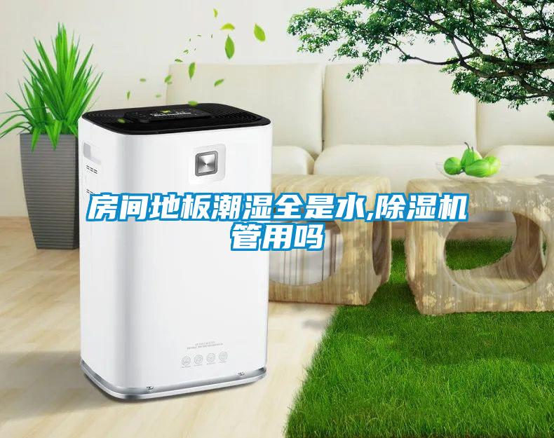 房间地板潮湿全是水,香蕉视频国产APP下载机管用吗