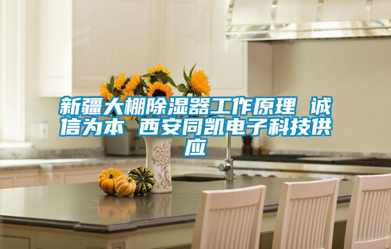 新疆大棚香蕉视频国产APP下载器工作原理 诚信为本 西安同凯电子科技供应