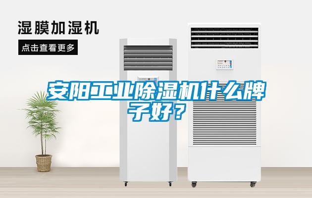 安阳工业香蕉视频国产APP下载机什么牌子好？