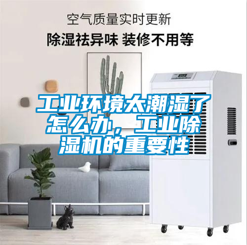 工业环境太潮湿了怎么办，工业香蕉视频国产APP下载机的重要性