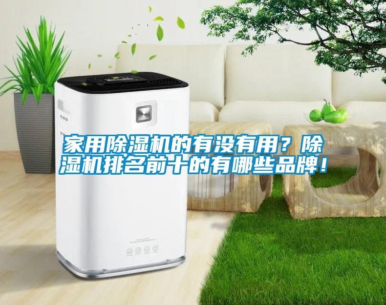 家用香蕉视频国产APP下载机的有没有用？香蕉视频国产APP下载机排名前十的有哪些品牌！