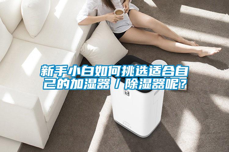新手小白如何挑选适合自己的加湿器／香蕉视频国产APP下载器呢？