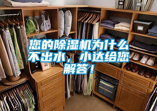 您的香蕉视频国产APP下载机为什么不出水，小达给您解答！